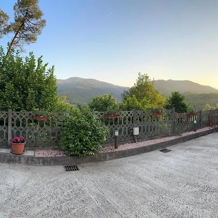 La Camelia House