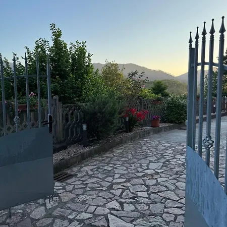La Camelia House * Bracelli