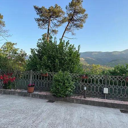 La Camelia House