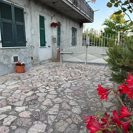 La Camelia House