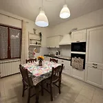 La Camelia House شقة *