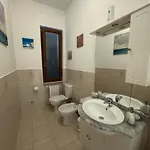 La Camelia House شقة