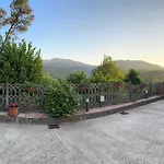 La Camelia House