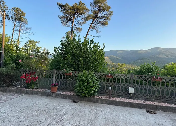 La Camelia House